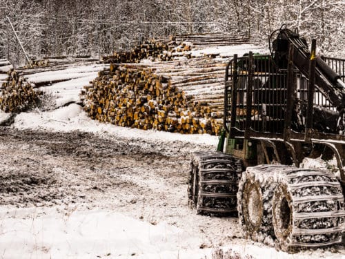 Industry Spotlight: Forestry and Logging