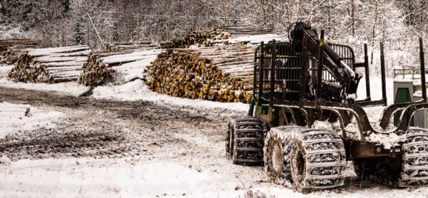 Industry Spotlight: Forestry and Logging